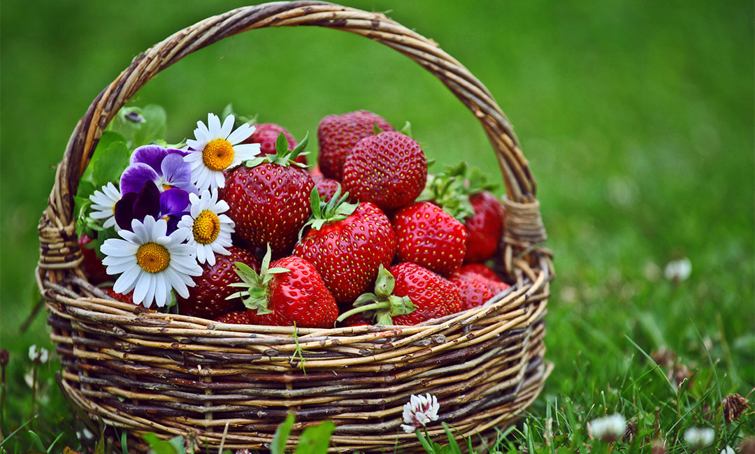 琼海点呀点水果电商APP开发案例